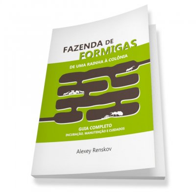 Antes de adquirir uma colônia de formigas e um formicário