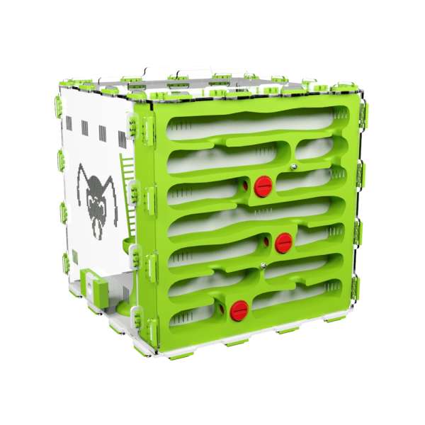 Formigueiro artificial CampoCasa Grande