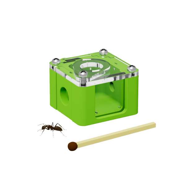 Arena pequena para incubadora 30x30x18 mm com 3 entradas