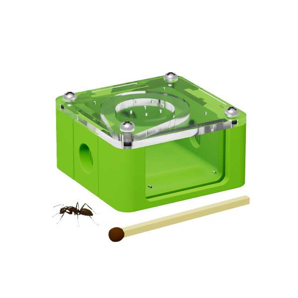 Arena média para incubadora 40x40x18 mm com 3 entradas