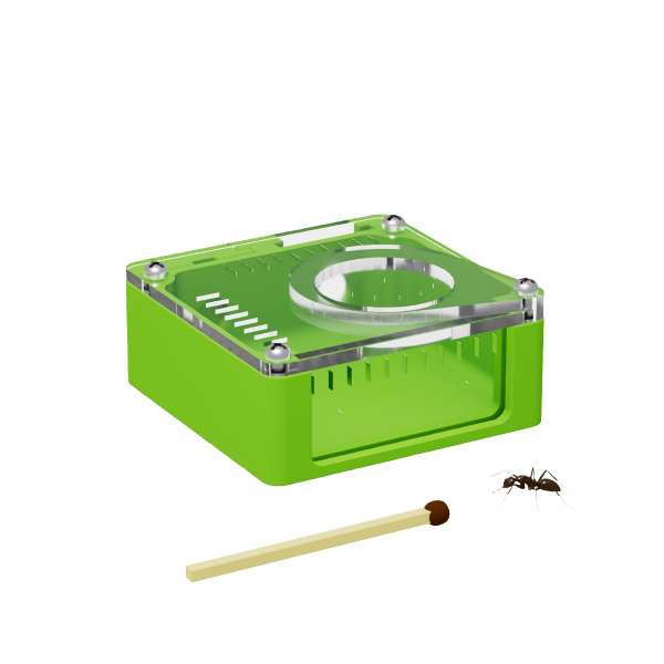 Arena grande para incubadora 50x50x18 com 2 entradas