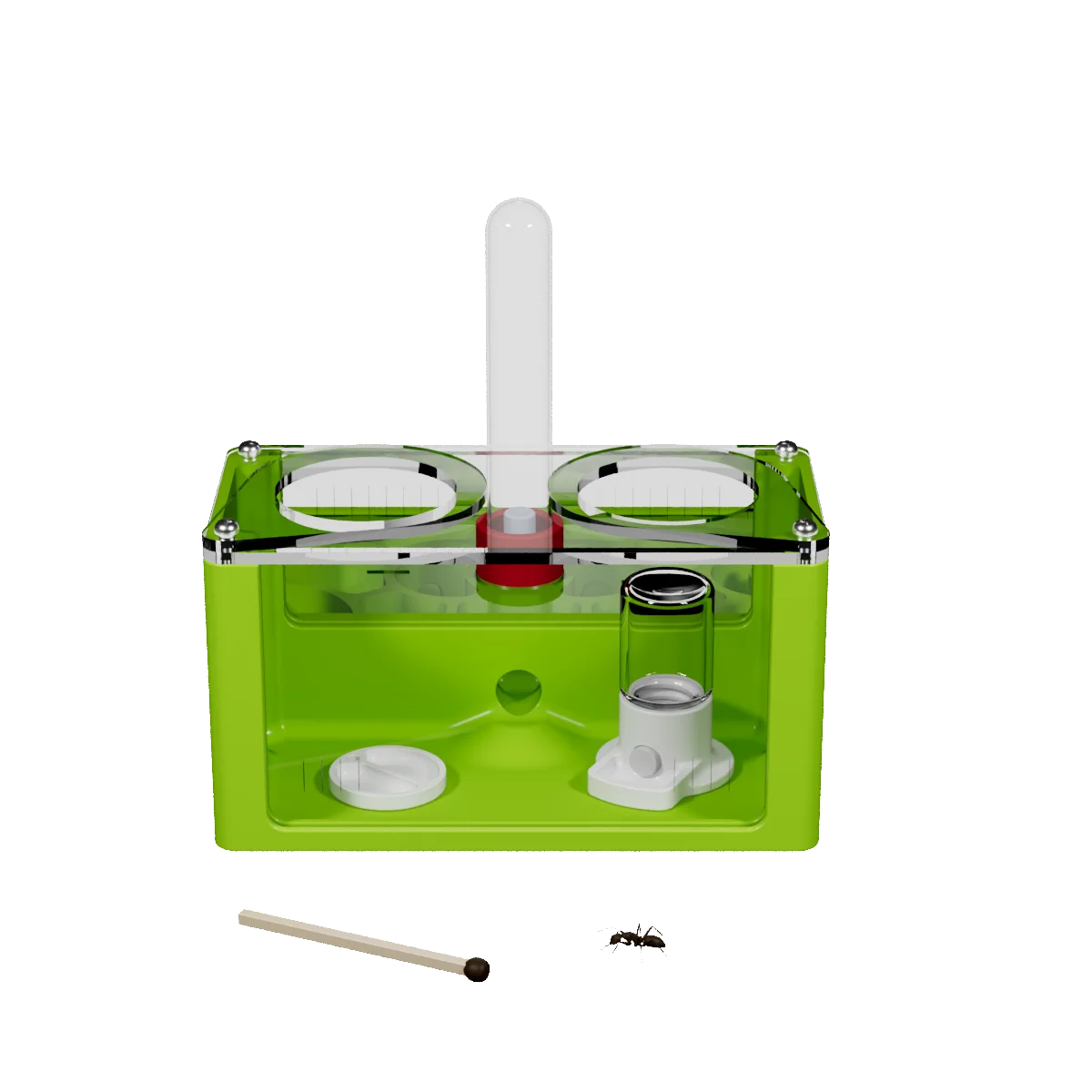 Mini formigueiro híbrido 10x10cm com design compacto